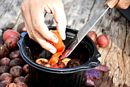 Fruits and vegetables are preparing to make compost fertilizer