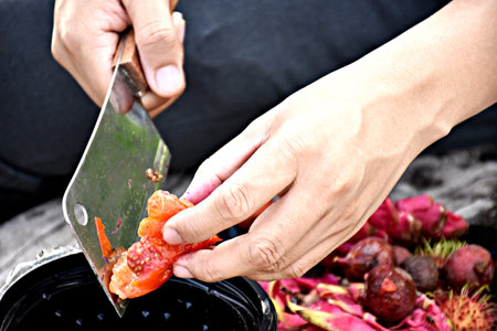 Fruits and vegetables are preparing to compost fertilizerの写真素材