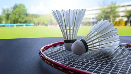 Badminton shuttercocks on raquettes are on dark backgroundの写真素材
