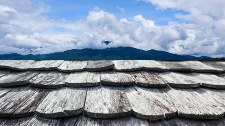Texture of dark color traditional double carved earthenware roof tilesの写真素材