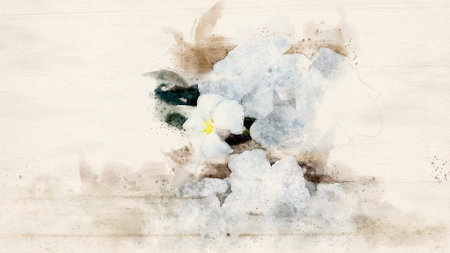 Vintage grunge background with pansy flowers, painting effect.の写真素材