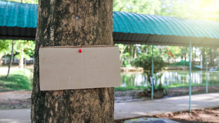 Brown paper copy space sign on a tree trunk, concept for forests and environment saving and preservationの写真素材