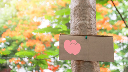 Blank brown paper sign on a tree trunk, concept for forests and environment saving and preservationの写真素材