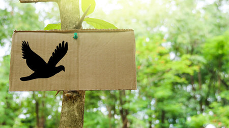 Brown paper label with drawing of bird on tree trunk with blurred background in bird watch siteの写真素材