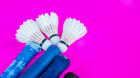 White badminton shuttle cocks and rackets handles on pink backgroundの写真素材