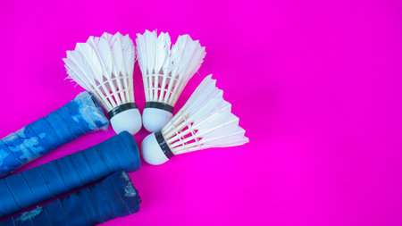 White badminton shuttle cocks and rackets handles on pink backgroundの写真素材