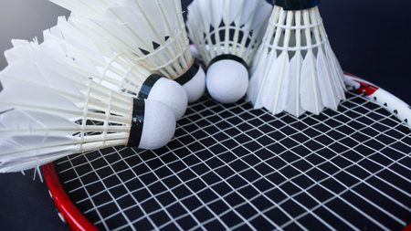Badminton shutter cocks were put on the racket with dark backgroundの写真素材