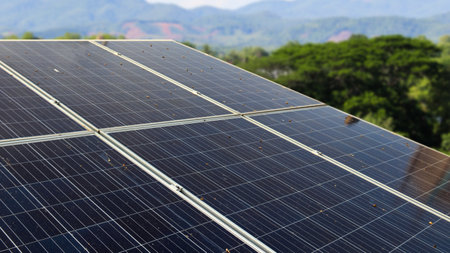 Dirty solar cell panels caused by bird droppings, concept of solar cell panel maintenance service, selective focusの写真素材