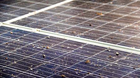 Blurred dirty solar cell panels caused by bird droppings, concept of solar cell panel maintenance service- selective focusの写真素材
