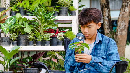 Young boy is using a small magnifying glass to inspect and to study plant in botanical garden, soft and selective focusの写真素材