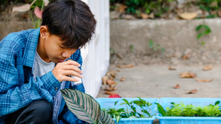 Young boy is using a white small microscope to inspect and to study plant in a tiny flowerpot in botanical garden, soft and selective focusの写真素材