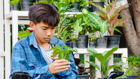 Young boy is using a small magnifying glass to inspect and to study plant in botanical garden, soft and selective focusの写真素材