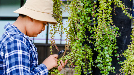 Young boy is using a small magnifying glass to inspect and to study plant in botanical garden, soft and selective focusの写真素材