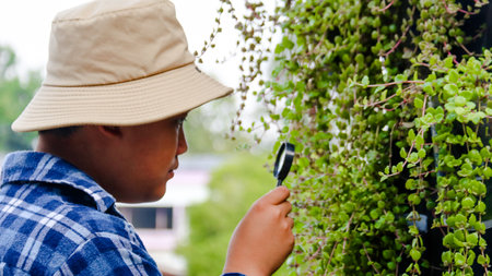 Young boy is using a small magnifying glass to inspect and to study plant in botanical garden, soft and selective focusの写真素材