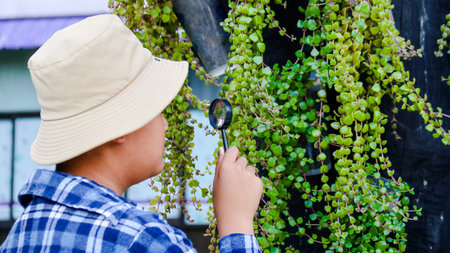 Young boy is using a small magnifying glass to inspect and to study plant in botanical garden, soft and selective focusの写真素材