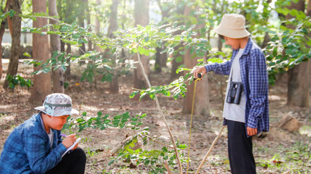 Young Asian boys are using a measure tape to measure a tree in a local park, soft and selective focusの写真素材