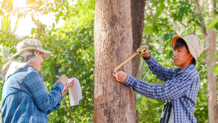 Young Asian boys are using a measure tape to measure a tree in a local park, soft and selective focusの写真素材