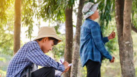 Young Asian boys are using a measure tape to measure a tree in a local park, soft and selective focusの写真素材