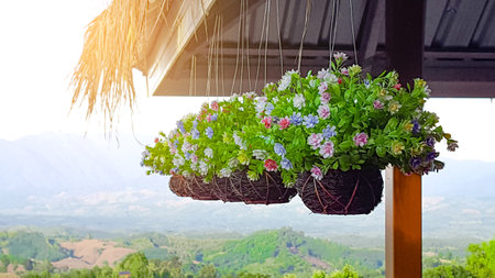 Artificial flower in hanging pots from the roof of a house with blur mountains view in backgroundの写真素材