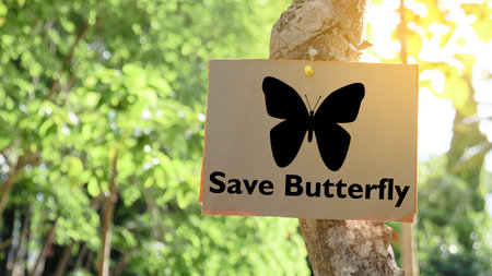 The image displays a striking black butterfly print accompanied by the heartfelt message Save Butterfly advocating for the protection and conservation of these delicate creatures.の写真素材