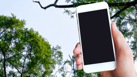 A mobile phone is placed on an upward-looking picture of a tree top. This image symbolizes the intersection of modern technology and nature, emphasizing the technology in environmental conservation.の写真素材