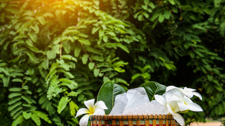 A basket filled with white alum crystals sits on a vibrant green shrub background. The contrasting colors highlight the purity of the alum against the lush greenery, creating fresh feeling.の写真素材