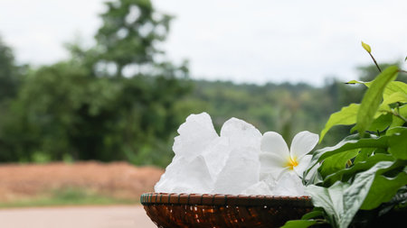 A basket filled with white alum crystals sits on a vibrant green shrub background. The contrasting colors highlight the purity of the alum against the lush greenery, creating fresh feeling.の写真素材