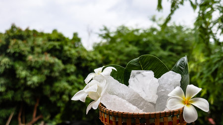 A basket filled with white alum crystals sits on a vibrant green shrub background. The contrasting colors highlight the purity of the alum against the lush greenery, creating fresh feeling.の写真素材