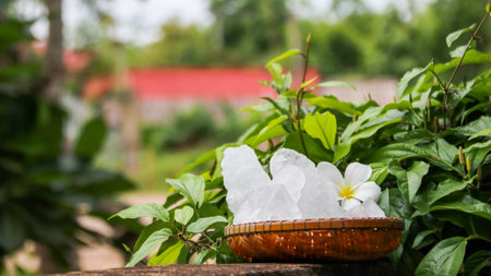 A basket filled with white alum crystals sits on a vibrant green shrub background. The contrasting colors highlight the purity of the alum against the lush greenery, creating fresh feeling.の写真素材