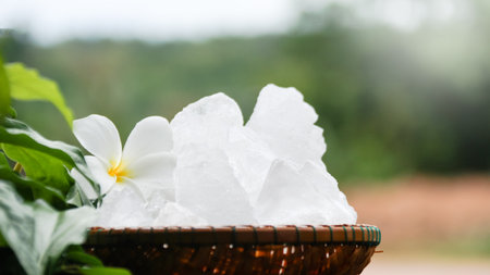 A basket filled with white alum crystals sits on a vibrant green shrub background. The contrasting colors highlight the purity of the alum against the lush greenery, creating fresh feeling.の写真素材