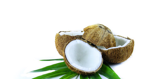 A close-up photograph of a mature and open coconuts isolated on a white background. The intricate...