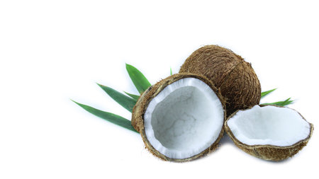 A close-up photograph of a mature and open coconuts isolated on a white background. The intricate details and rough texture of the coconut's shell and its meat are clearly shown.の写真素材