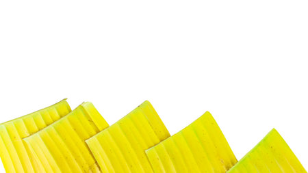 A cut-out of a yellow banana leaf on a white background with clipping paths. The detailed veins and texture of the leaf are clearly visible, highlighting its natural aging process and unique color.の写真素材