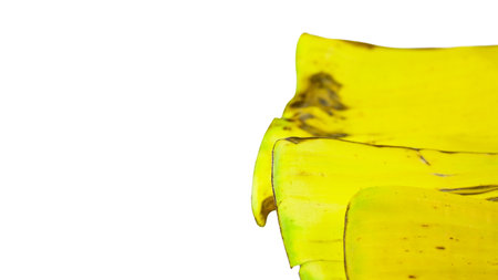 A cut-out of a yellow banana leaf on a white background with clipping paths. The detailed veins and texture of the leaf are clearly visible, highlighting its natural aging process and unique color.の写真素材