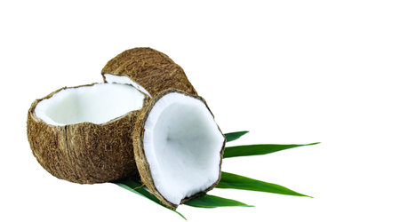 A close-up photograph of a mature and open coconuts isolated on a white background. The intricate details and rough texture of the coconut's shell and its meat are clearly shown.の写真素材