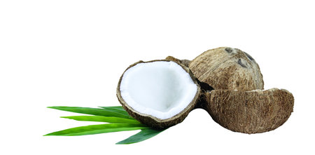 A close-up photograph of a mature and open coconuts isolated on a white background. The intricate details and rough texture of the coconut's shell and its meat are clearly shown.の写真素材