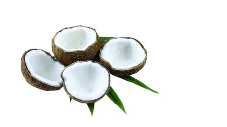 A close-up photograph of a mature and open coconuts isolated on a white background. The intricate details and rough texture of the coconut's shell and its meat are clearly shown.の写真素材