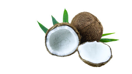 A close-up photograph of a mature and open coconuts isolated on a white background. The intricate details and rough texture of the coconut's shell and its meat are clearly shown.の写真素材