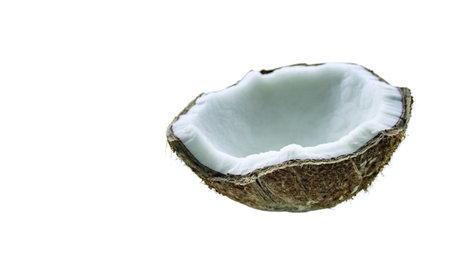 A close-up photograph of a mature and open coconuts isolated on a white background. The intricate details and rough texture of the coconut's shell and its meat are clearly shown.の写真素材