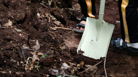 Hands holding shovel to mix raw materials including dried leaves and dung to make bio fertilizer for growing plantsの写真素材