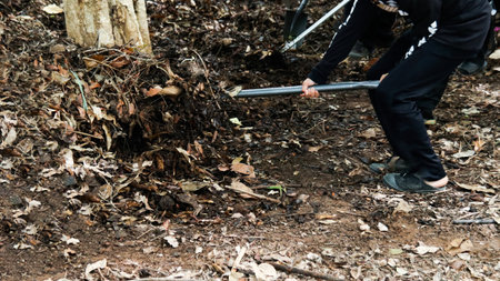 Hands holding shovel to mix raw materials including dried leaves and dung to make bio fertilizer for growing plantsの写真素材