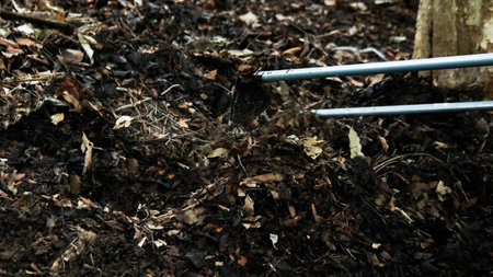 Hands holding shovel to mix raw materials including dried leaves and dung to make bio fertilizer for growing plantsの写真素材