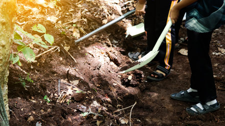 Hands holding shovel to mix raw materials including dried leaves and dung to make bio fertilizer for growing plantsの写真素材
