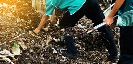 Hands holding shovel to mix raw materials including dried leaves and dung to make bio fertilizer for growing plantsの写真素材