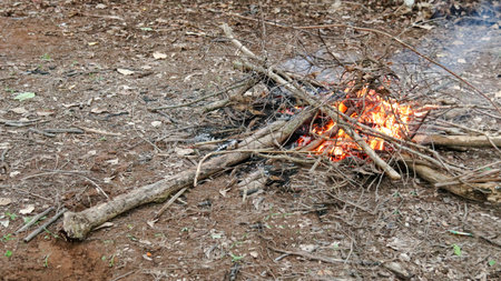 Image of a bonfire, promoting the concept of not burning forests and encouraging sustainable forest care.の写真素材