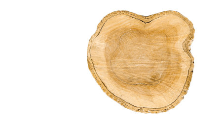 Cut-out image of a cross-section of a log on a white background with clipping paths. Ideal for design projects and educational materials.の写真素材