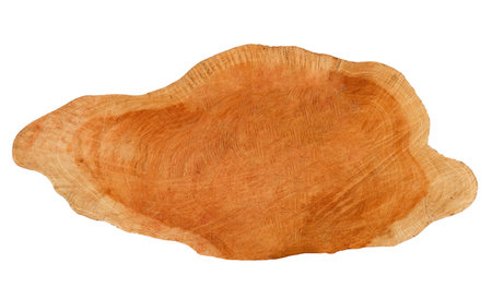 Cut-out image of a cross-section of a log on a white background with clipping paths. Ideal for design projects and educational materials.の写真素材