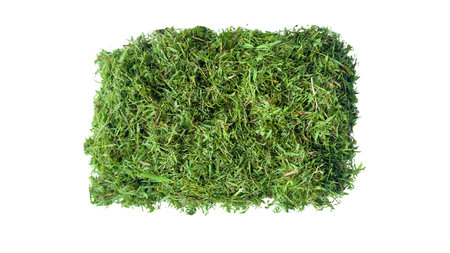 Cut out grass clippings from a lawnmower, set against a white background, with clipping paths to capture the texture and fragments for seamless integration into design projects.の写真素材