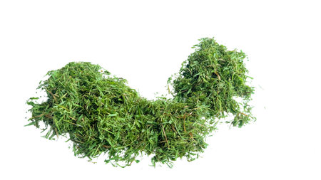 Cut out grass clippings from a lawnmower, set against a white background, with clipping paths to capture the texture and fragments for seamless integration into design projects.の写真素材
