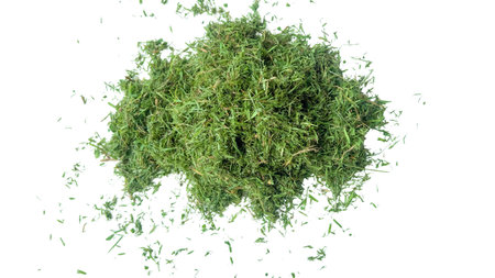 Cut out grass clippings from a lawnmower, set against a white background, with clipping paths to capture the texture and fragments for seamless integration into design projects.の写真素材